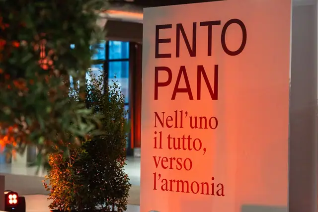 Il pannello Entopan: Nell’uno il tutto, verso l’armonia